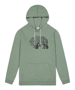 Sweat à capuche D&S Bear branch hoodie Green spray Picture Organic Clothing